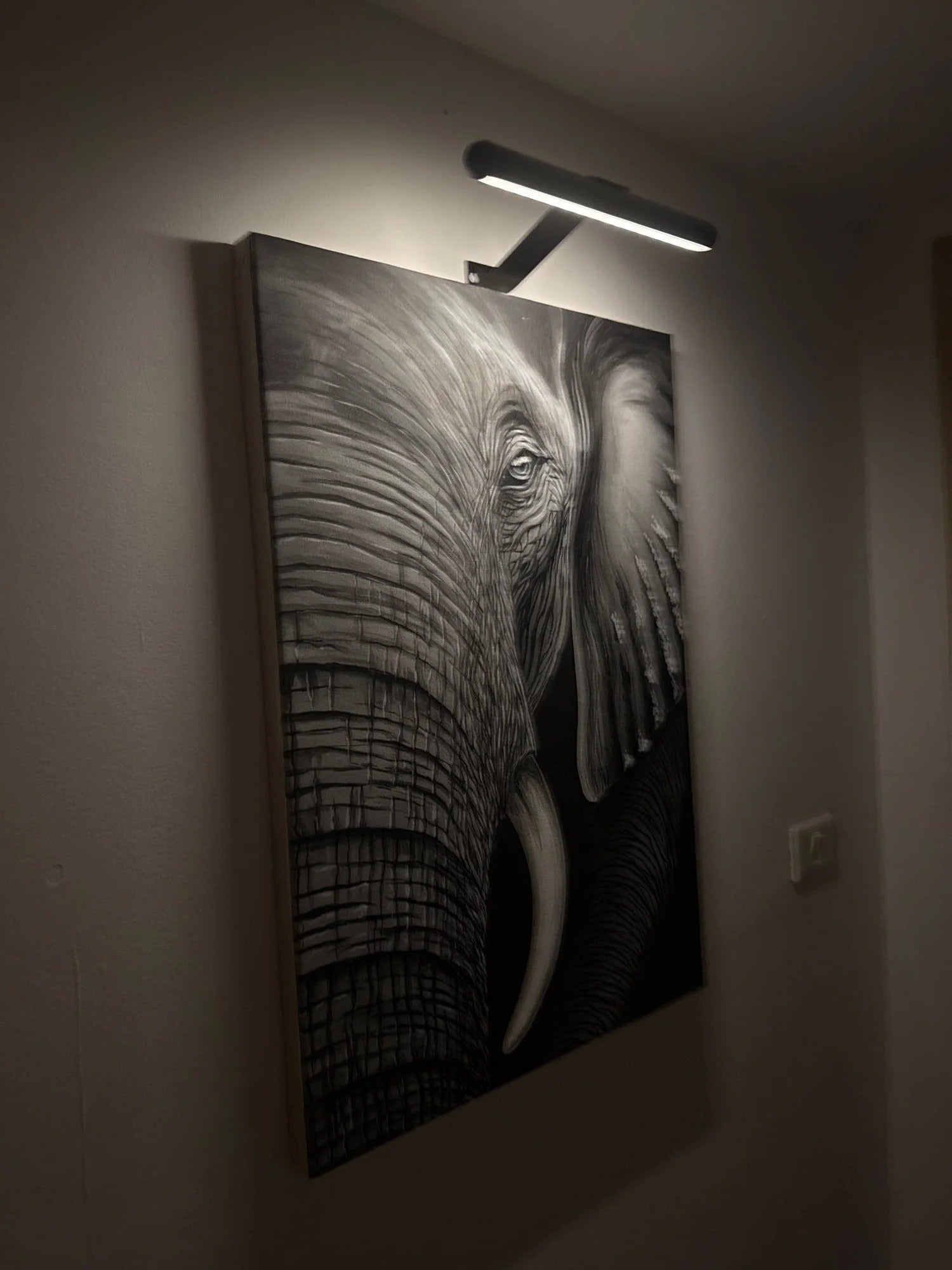 Cordless LED Art Light with Adjustable Brightness