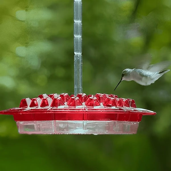 Deluxe Hummingbird Feeder with Integrated Ant Barrier