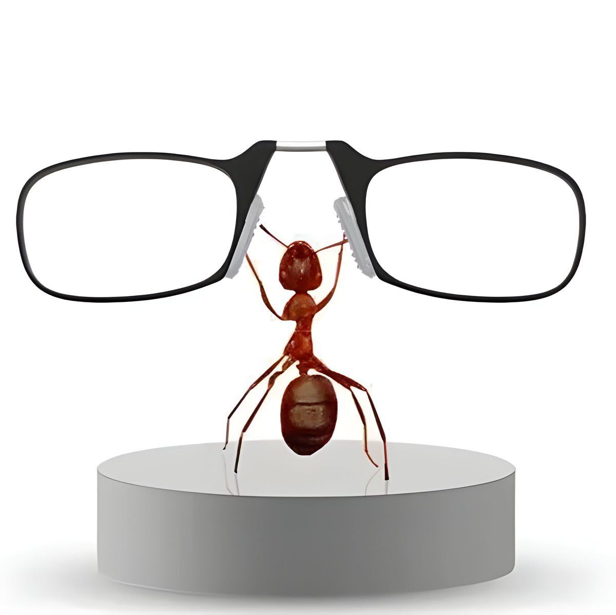 Compact and Versatile Reading Glasses