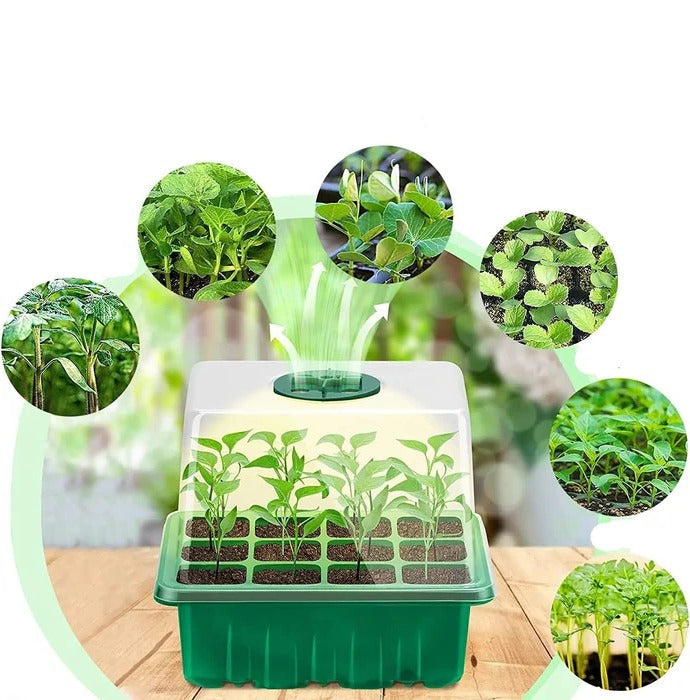 Smart Seedling Starter Kit with Integrated Grow Light