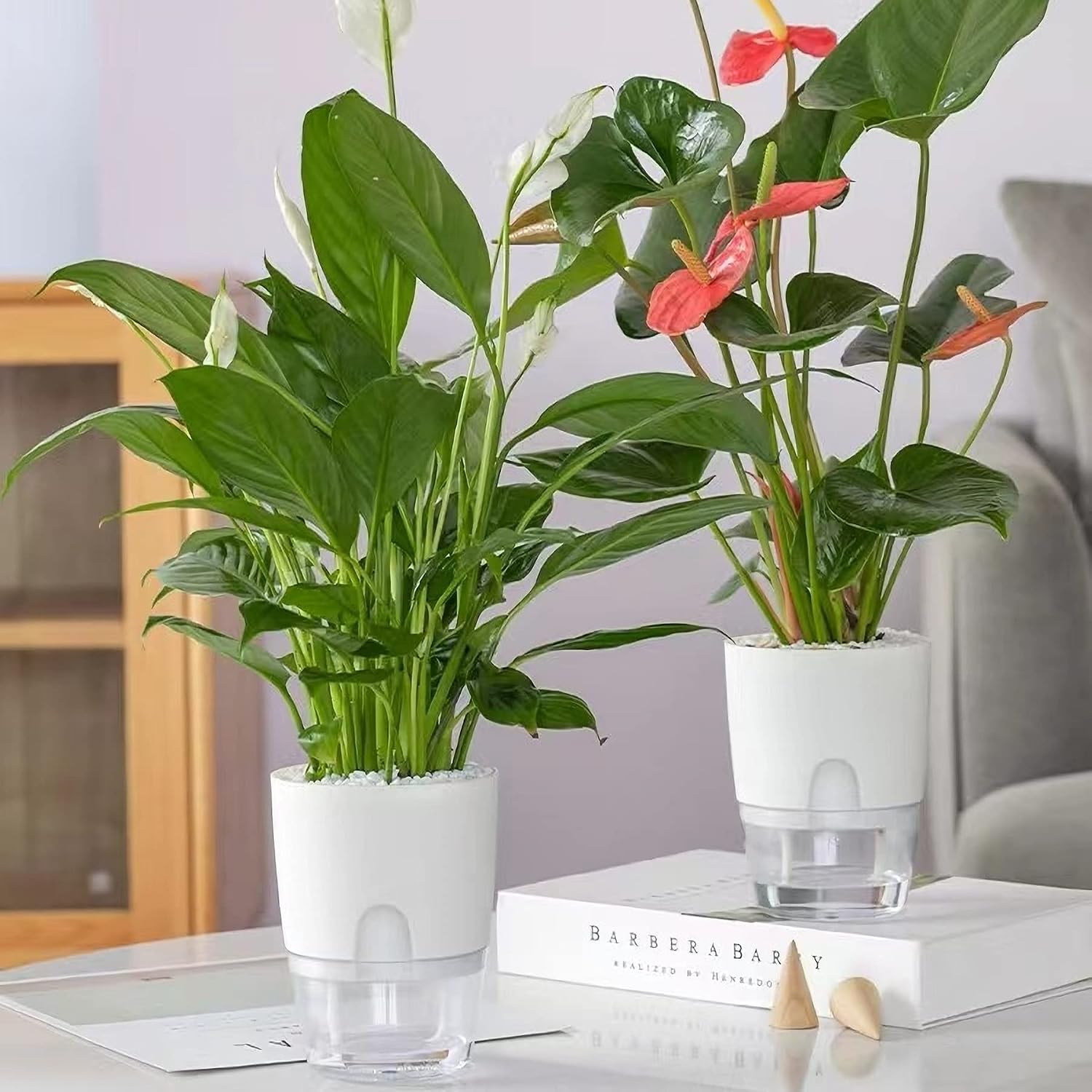 Automatic Hydration Planter for Indoor Plants