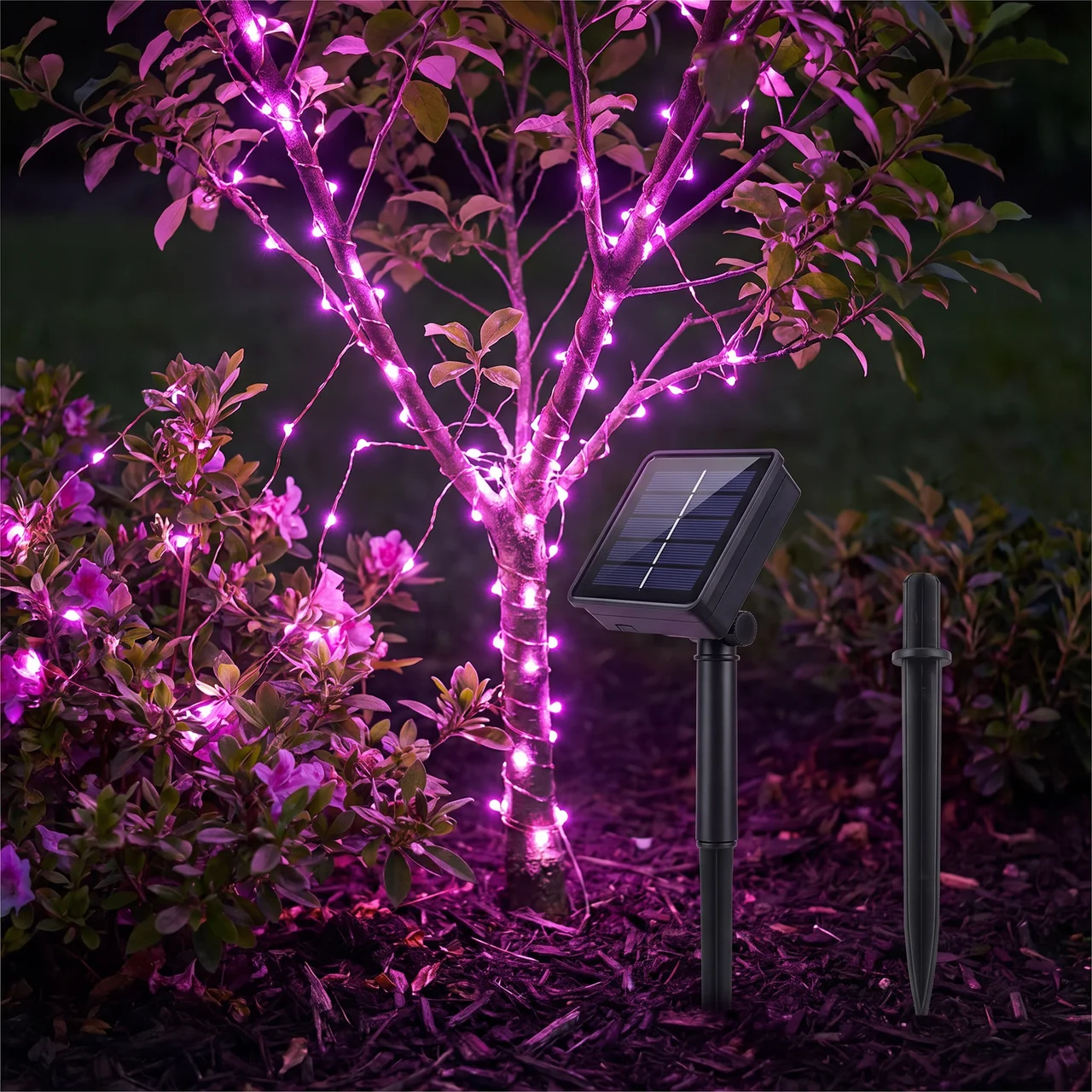 Eco-Friendly Solar Fairy Lights with Flexible Design and Auto Sensor