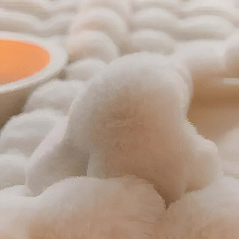 Cozy Year-Round Comfort Blanket with Stylish Aesthetic