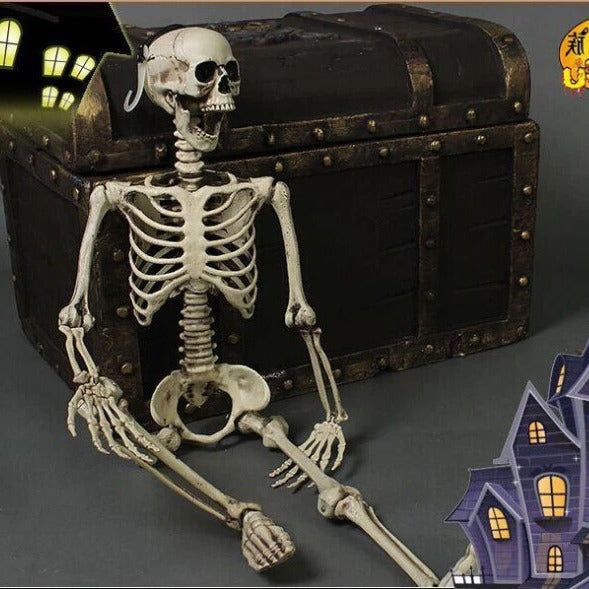 Realistic Life-Size Halloween Skeleton Prop