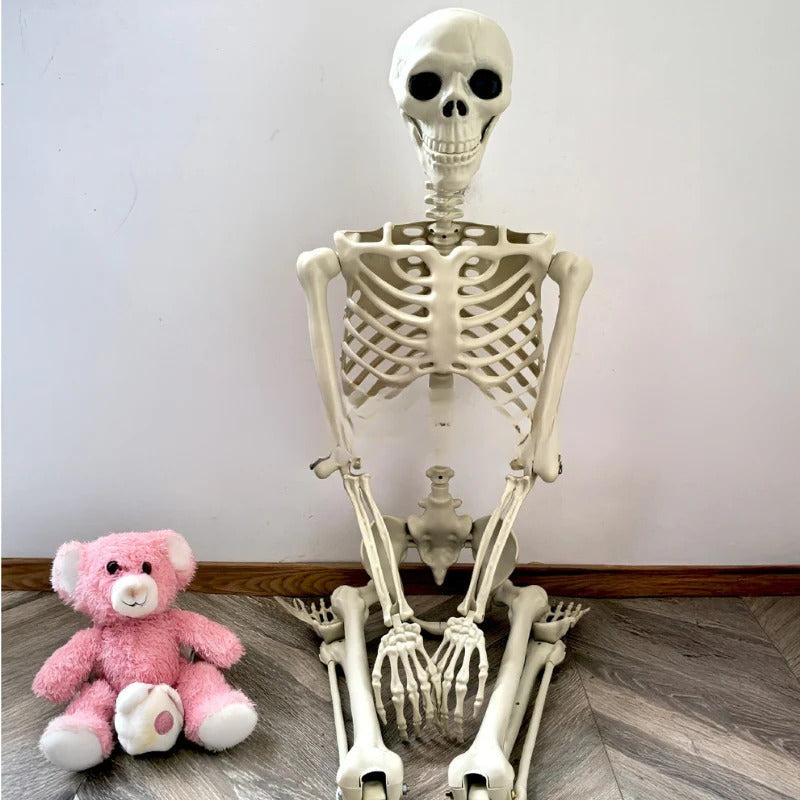 Realistic Life-Size Halloween Skeleton Prop