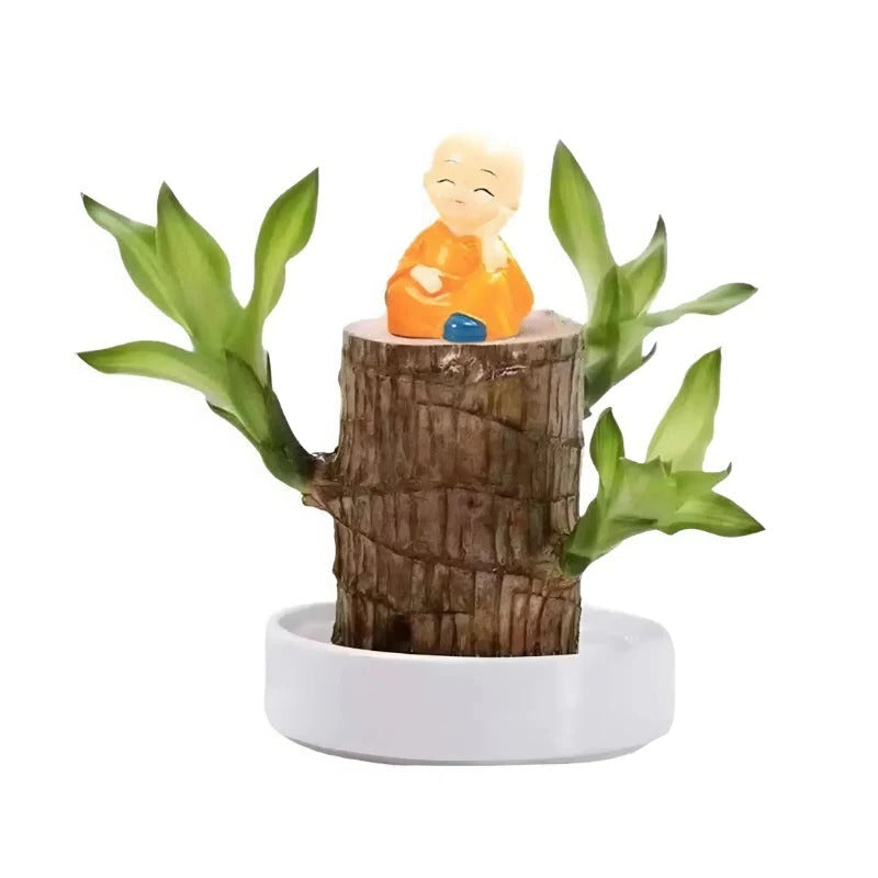 Serenity Green Air Purifying Plant