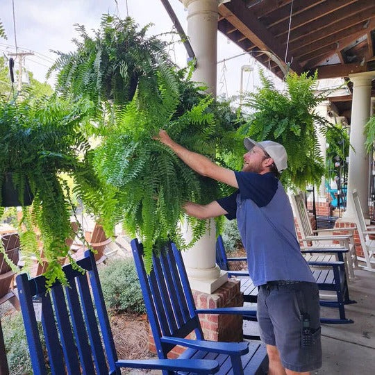 Lifelike Outdoor Fern – UV Resistant and Maintenance-Free