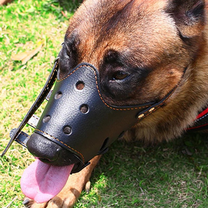 Comfort-Fit Dog Muzzle for Safe and Stress-Free Walks