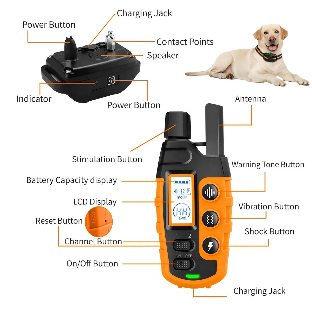 Long-Range Smart Dog Training Collar