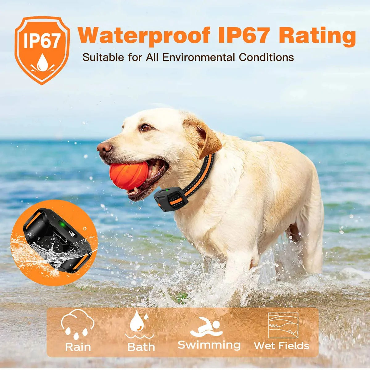 Long-Range Smart Dog Training Collar