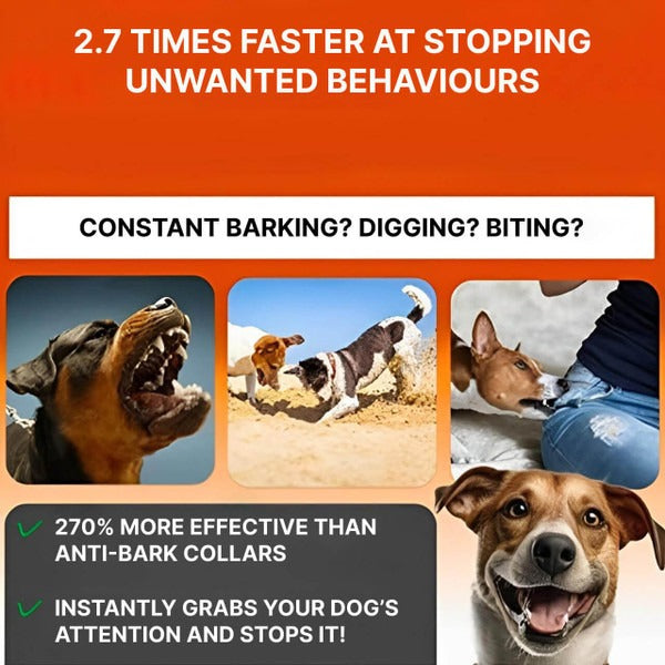 Gentle Ultrasonic Bark Control System for Dogs