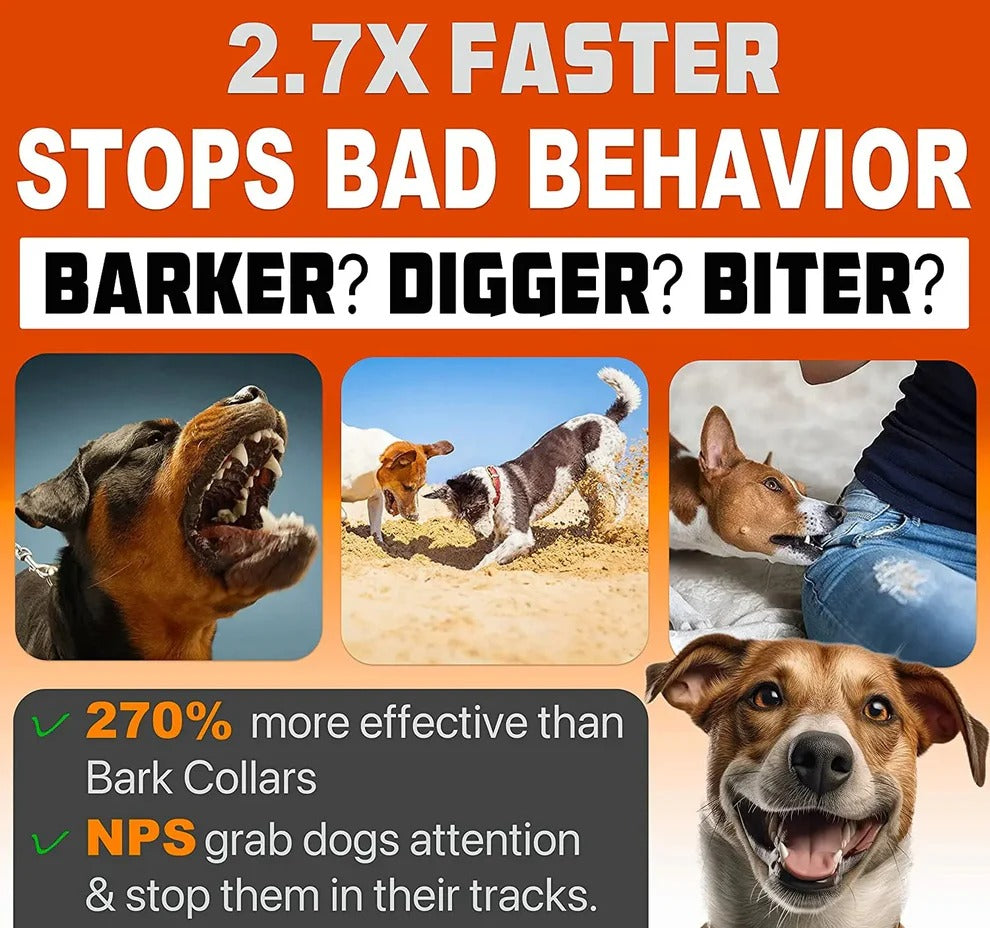 Smart Canine Behavior Assistant for Training Success