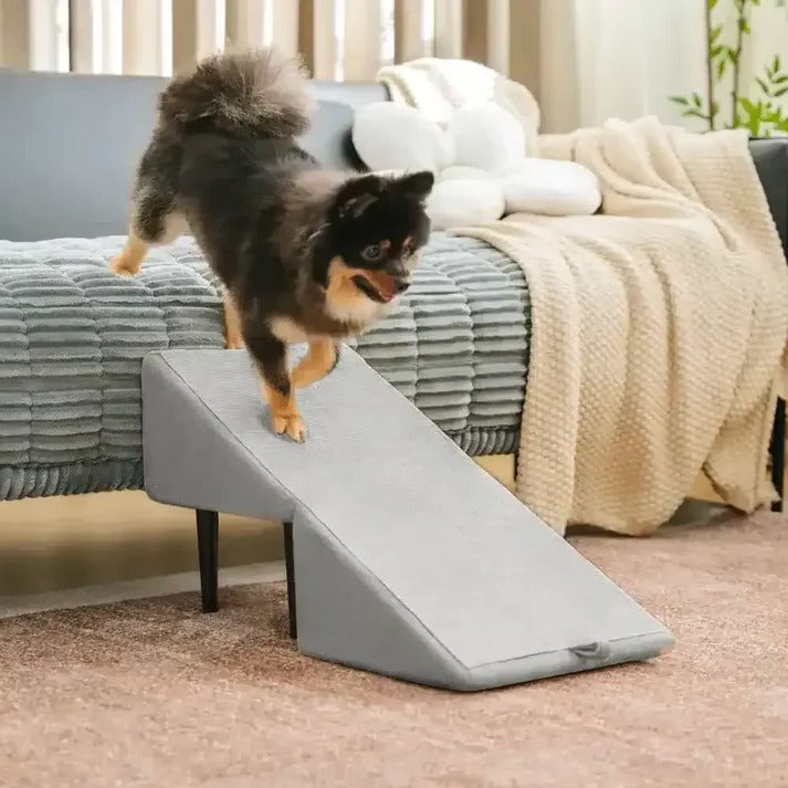 Versatile Pet Access Ramp and Step Stool