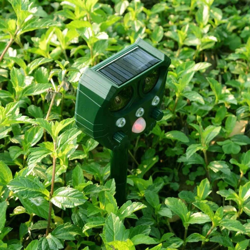 Eco-Friendly Motion-Activated Animal Deterrent Device