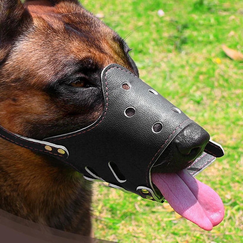 Comfort-Fit Dog Muzzle for Safe and Stress-Free Walks