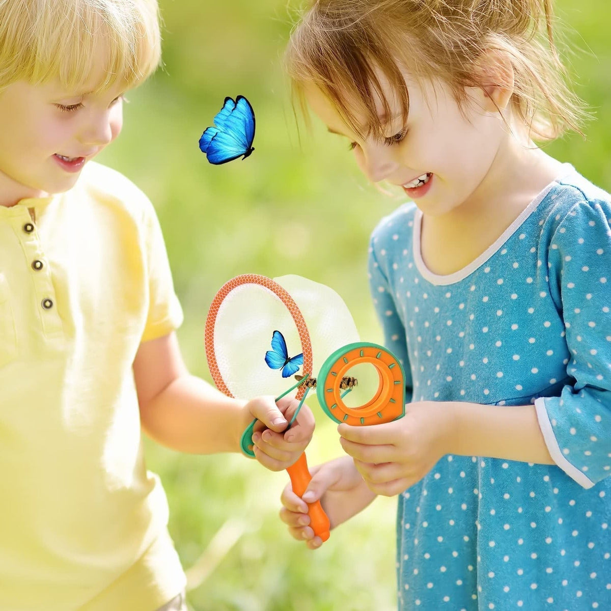 Young Explorer's Insect Discovery Set