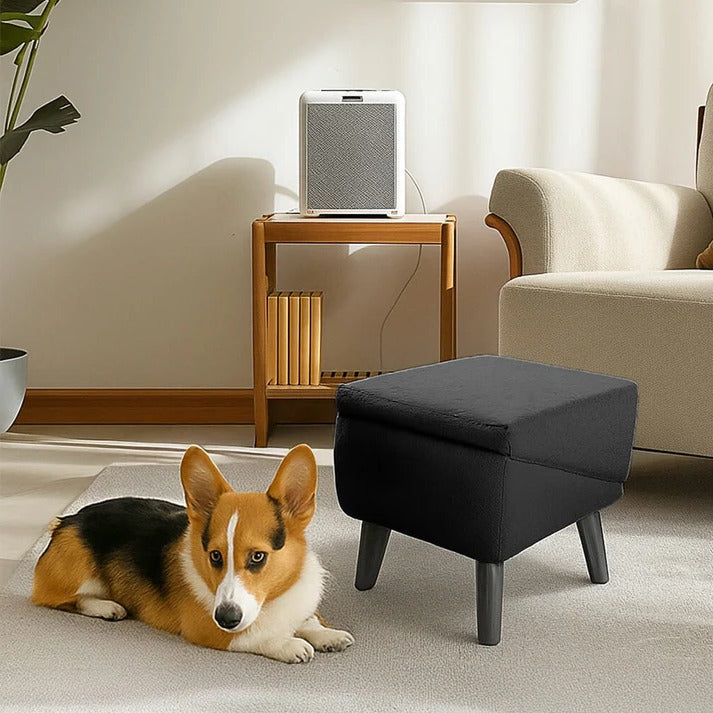 Versatile Pet Access Ramp and Step Stool