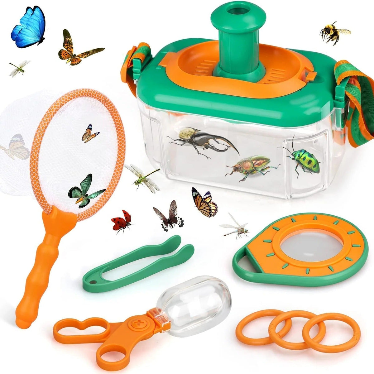 Young Explorer's Insect Discovery Set