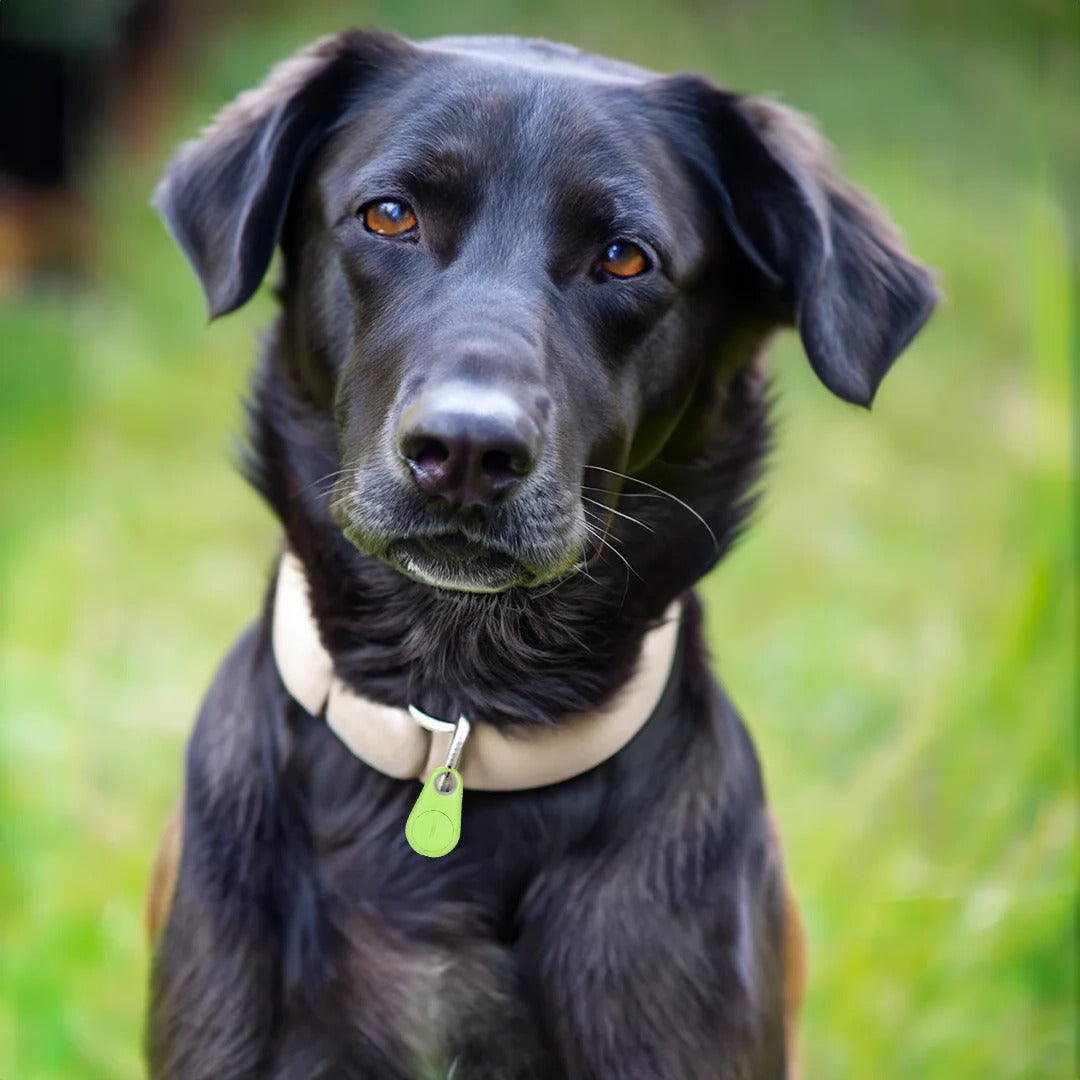 Smart Waterproof GPS Pet Locator for Dogs and Cats
