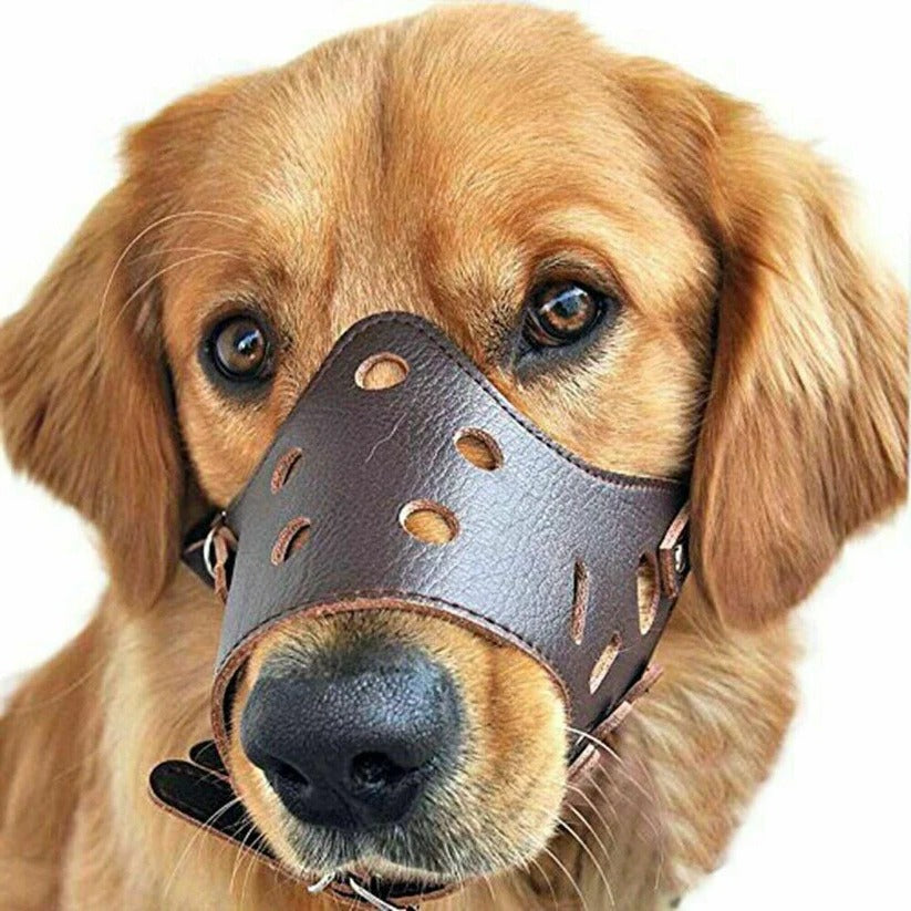 Comfort-Fit Dog Muzzle for Safe and Stress-Free Walks