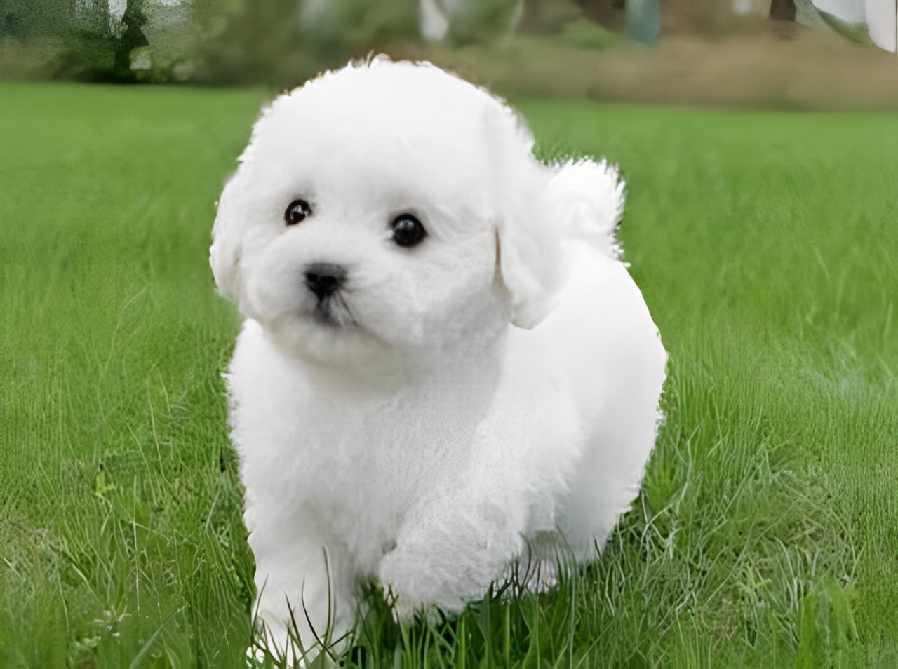 Cuddly Plush Canine Companion - Snuggles - Soft & Realistic