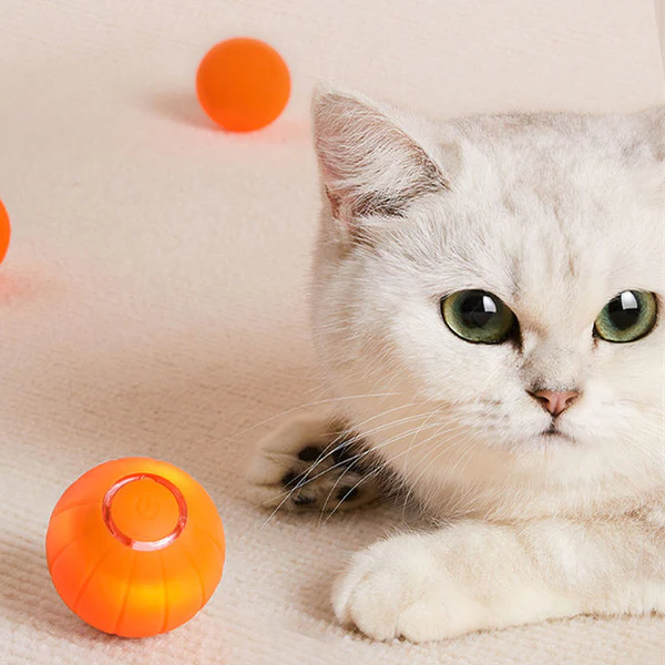 Interactive Feline Play Sphere (Limited Edition)