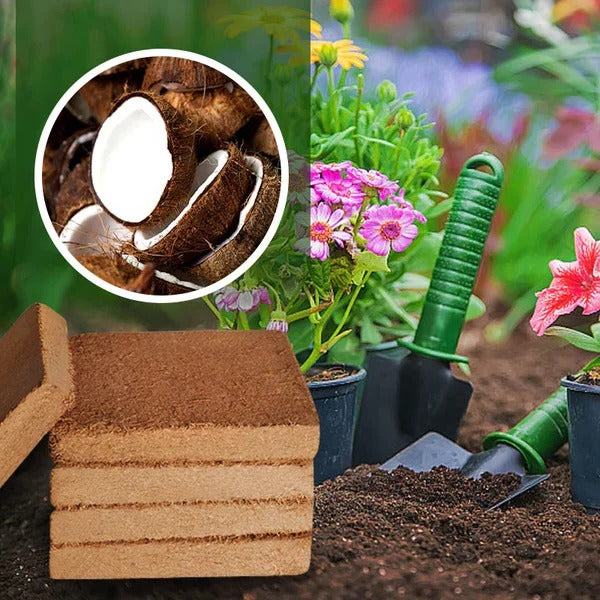 Premium Coconut Fiber Growing Medium for Vibrant Plants