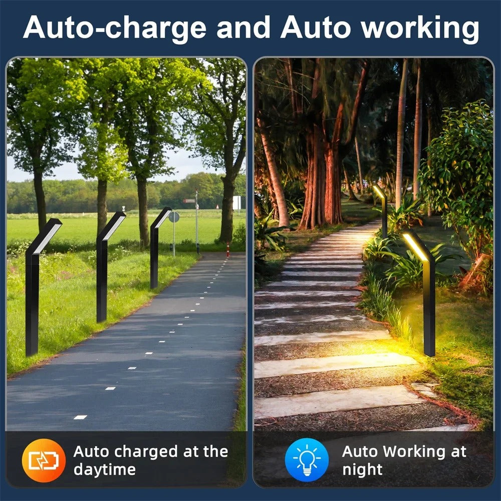 Eco-Friendly Solar Garden Lights with Adjustable Modes