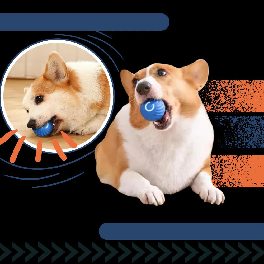 Self-Navigating Play Ball for Dogs