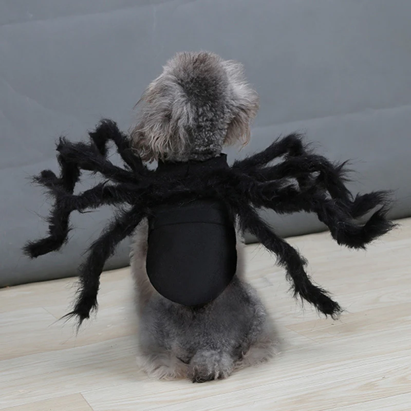 Whimsical Spider Outfit for Pets