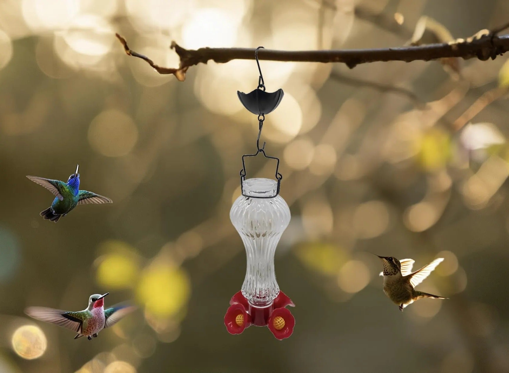 Vibrant Glass Hummingbird Feeder with Ant Barrier