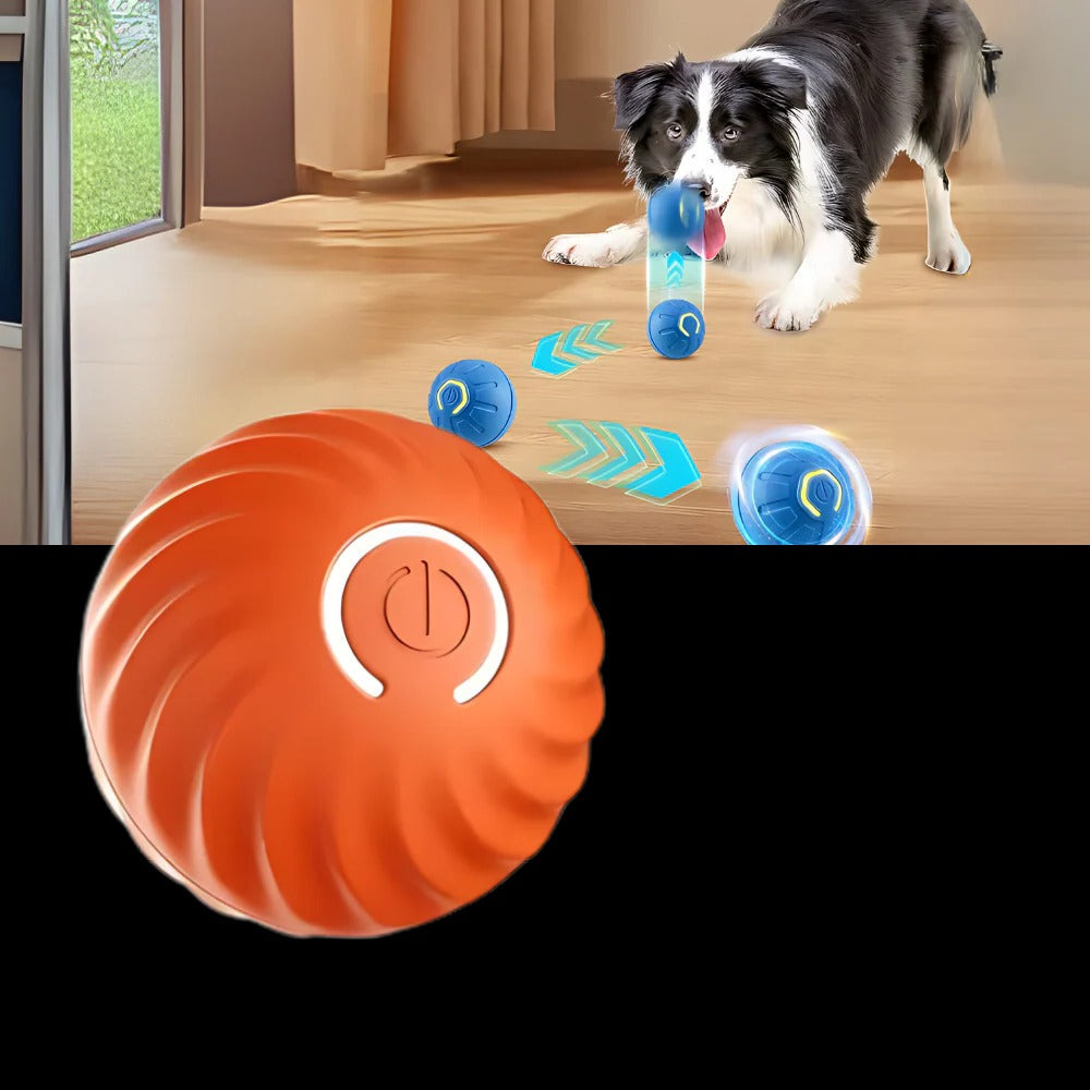 Self-Navigating Play Ball for Dogs