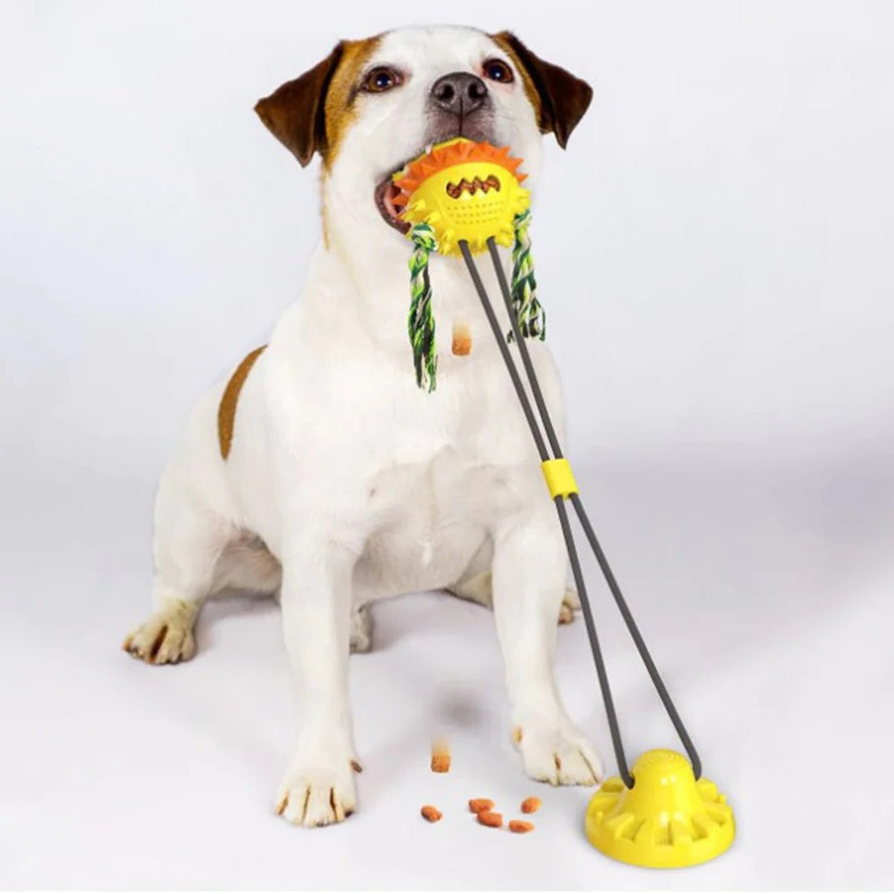 Self-Active Pet Play Sphere