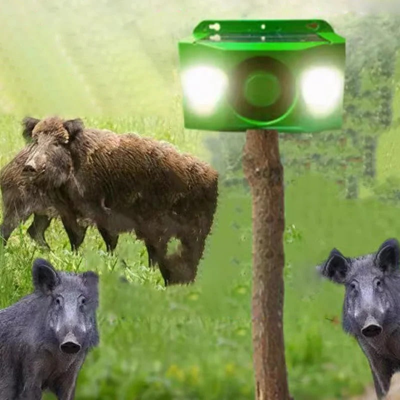 EcoGuard Solar Animal Deterrent Lights with Alarm System