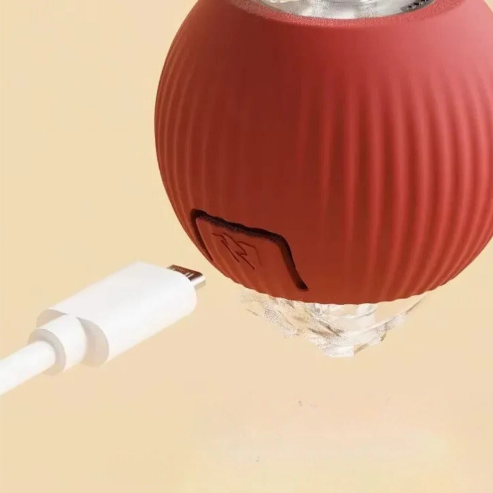Dynamic Pet Play Ball with Interactive Tail