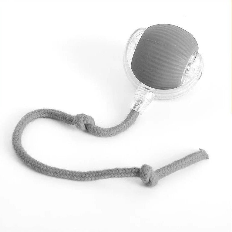 Dynamic Pet Play Ball with Interactive Tail