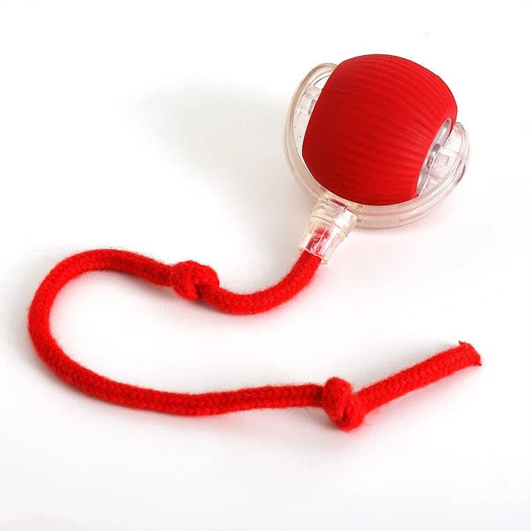 Dynamic Pet Play Ball with Interactive Tail