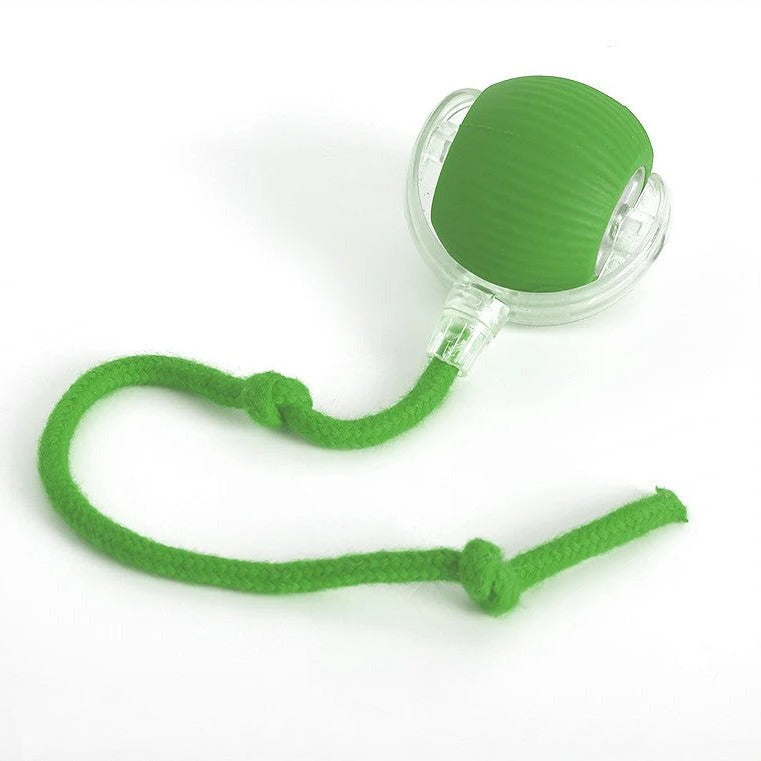 Dynamic Pet Play Ball with Interactive Tail