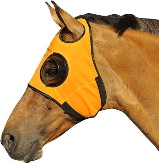 FocusGuard Horse Blinders for Training and Competition