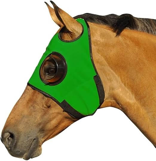 FocusGuard Horse Blinders for Training and Competition