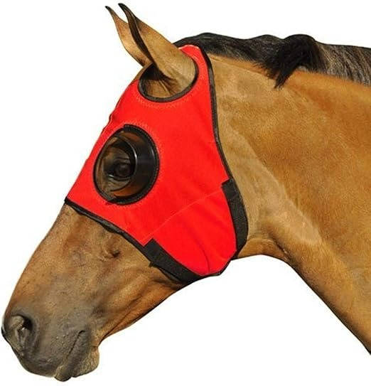FocusGuard Horse Blinders for Training and Competition