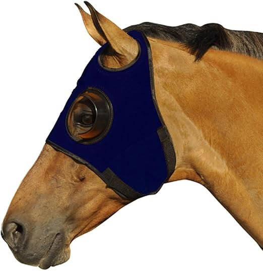 FocusGuard Horse Blinders for Training and Competition