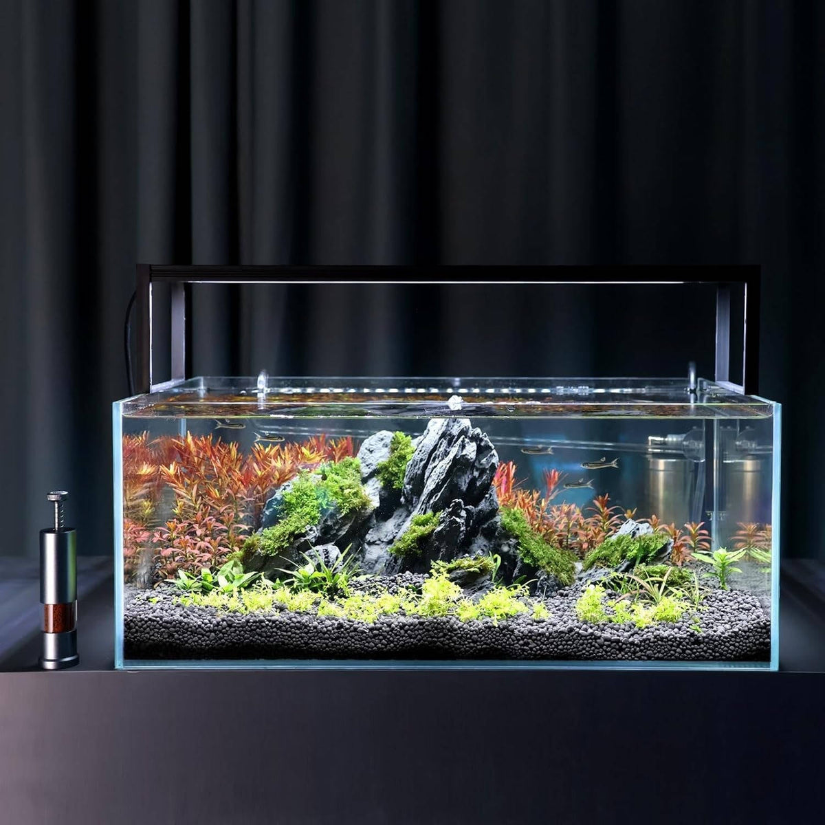Smart Precision Fish Feeder for Aquariums