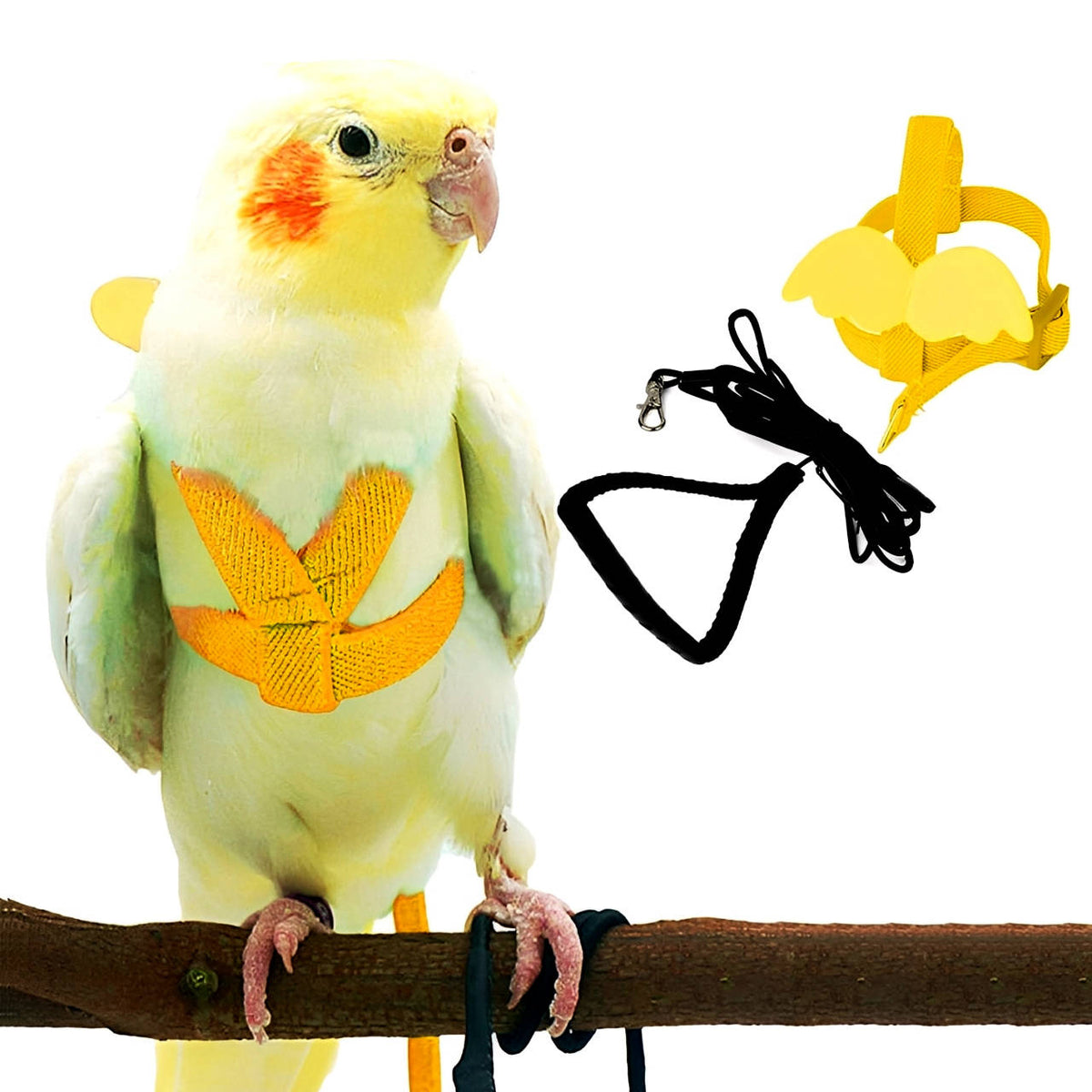 SafeFlight Parrot Harness for Outdoor Adventures