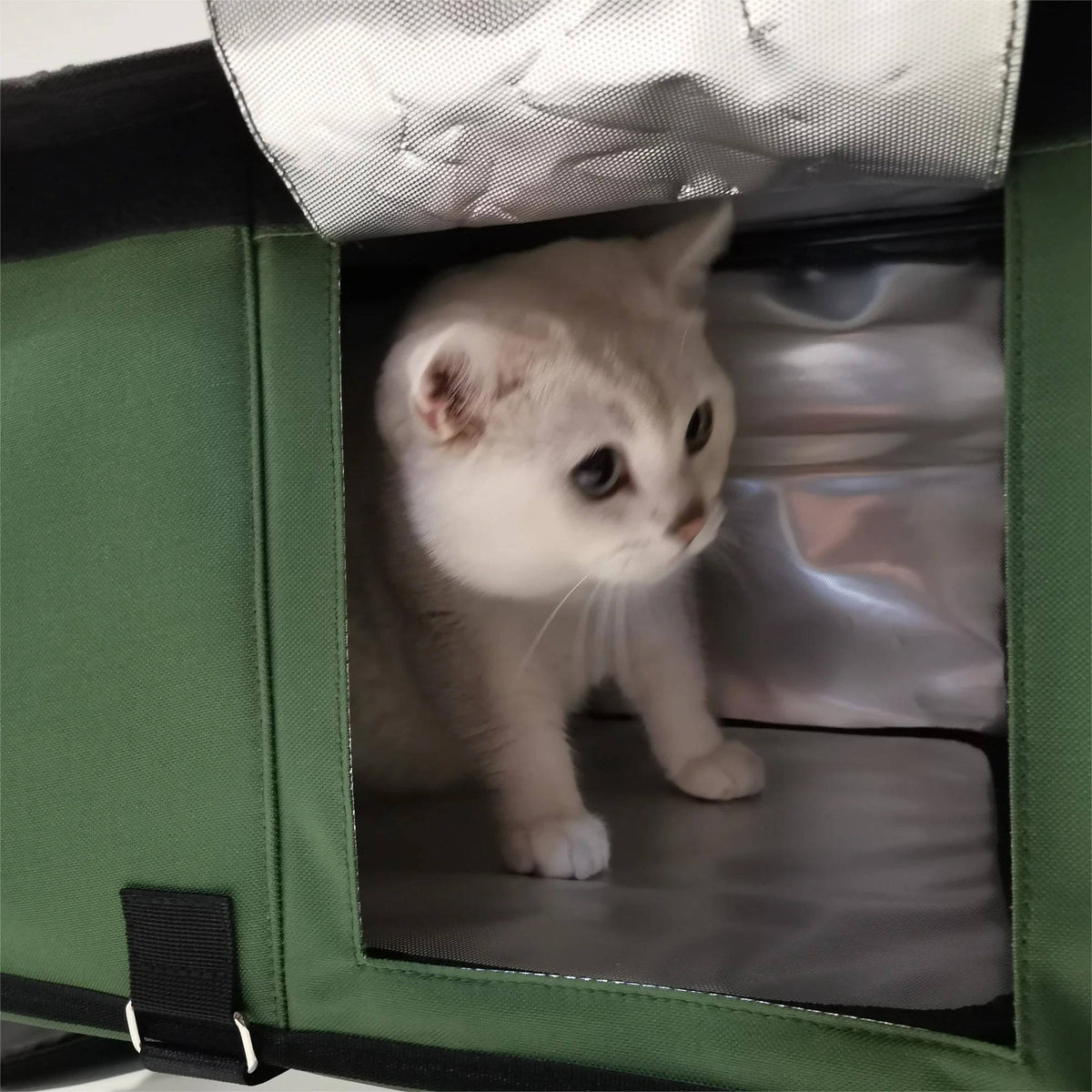 Cozy Heated Cat Shelter for Cold Weather Comfort