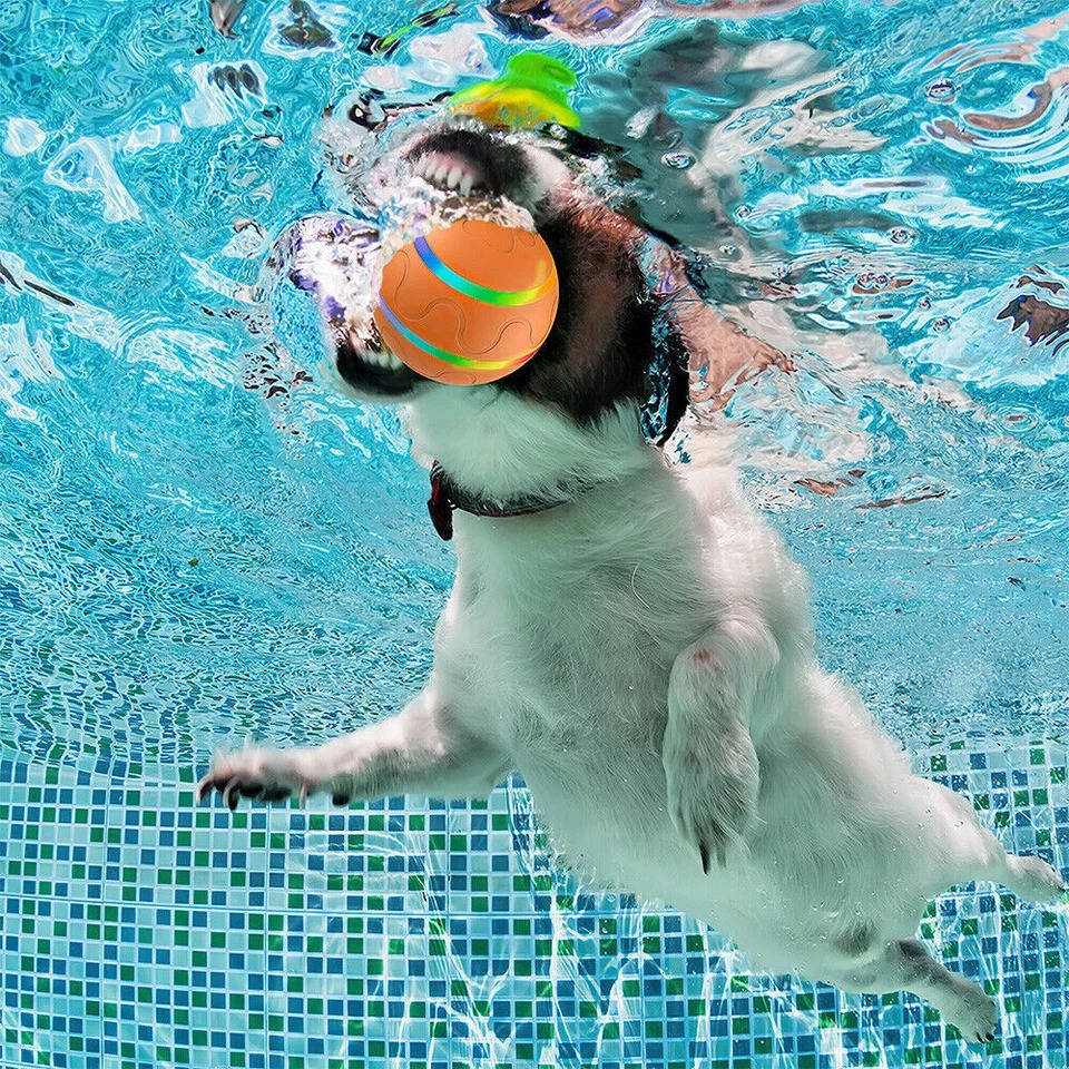 Smart Play Ball for Dogs