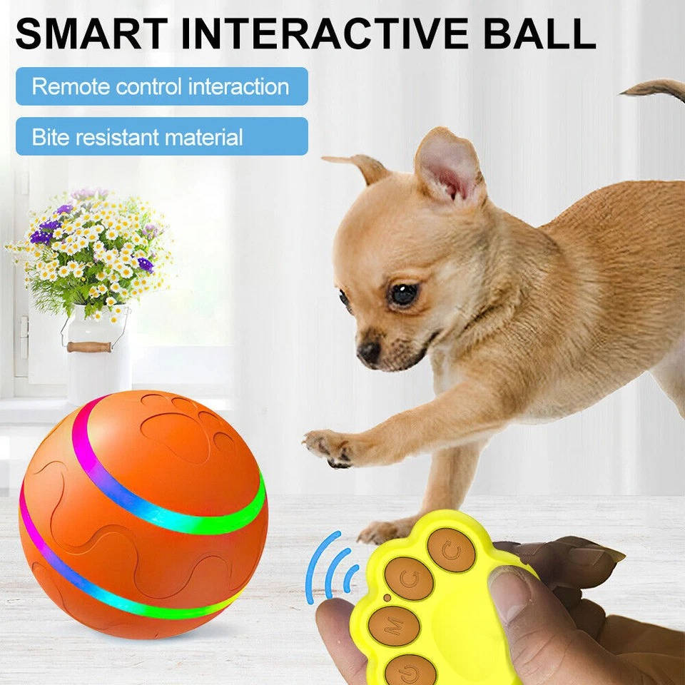 Smart Play Ball for Dogs