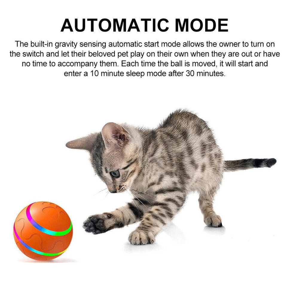 Smart Play Ball for Dogs