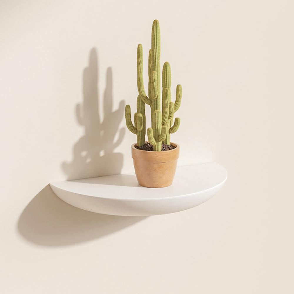 Curved Wooden Wall Shelf for Stylish Storage