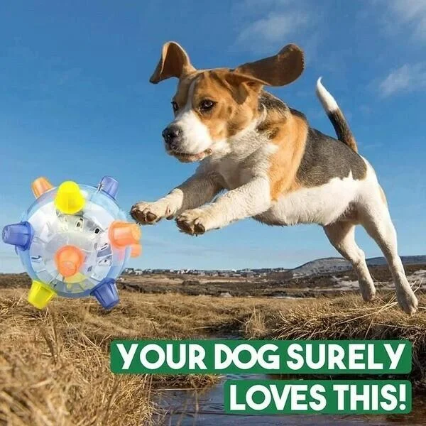 Interactive Bouncing Ball for Playful Dogs
